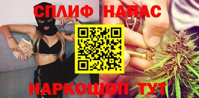 МДПВ Дубна