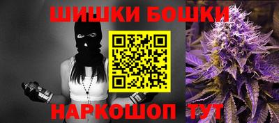 МДПВ Дубна