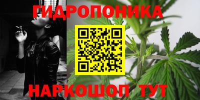 МДПВ Дубна