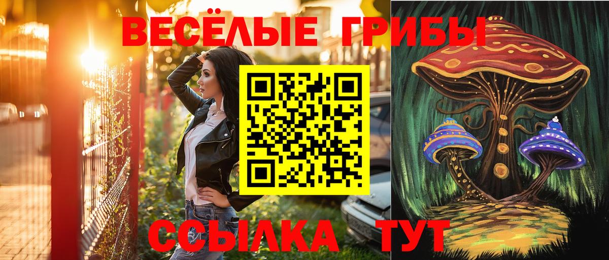 Псилоцибиновые грибы Cubensis  Вход с VPN  Малгобек 
